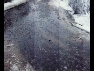 Таку країну будує "партія регіонів" звернення в разумовського до президента україни в януковича!