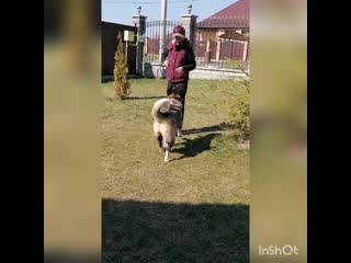 Самоизоляция #сидимдома