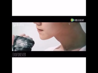 Into k pop [vine] happy birthday to this sexy deer #luhan #exo #exom #sehun #kpop #chinese #luhanedit #happyluhanday #hunhan #