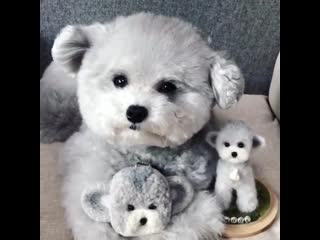 Плюшевый милашка