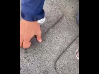 Russkaya rybalochka'