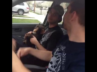 [joey salads] how it feels when you get your 1st car vs reality #vine