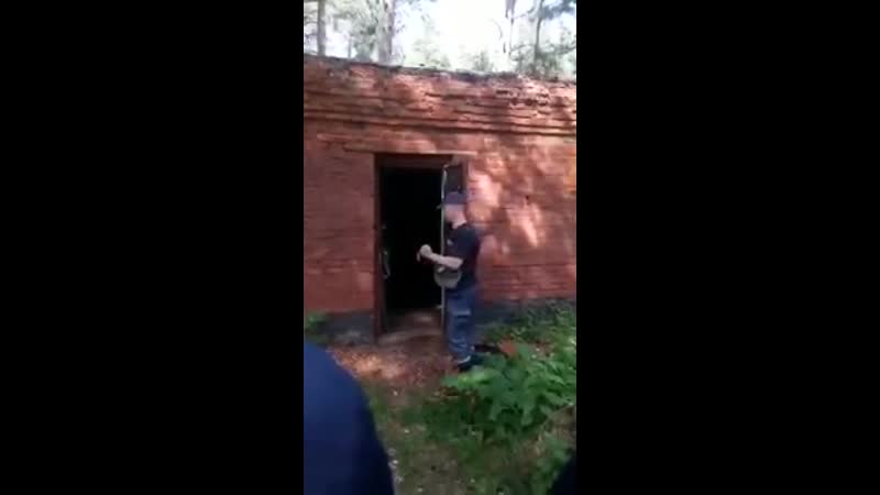 Светошумовая граната