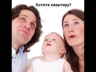 Перспектива 24