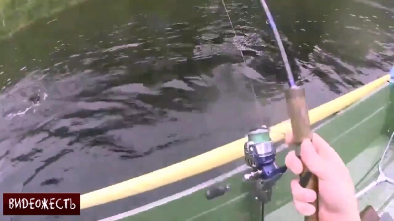 За*бись рыбалка © видеожесть