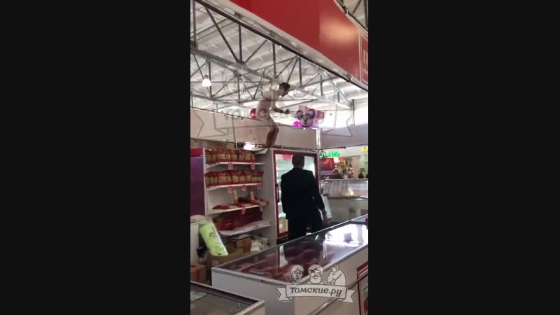 Не злоупотребляте молодые, томичи