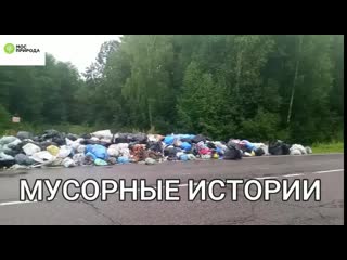 Видео от дпт "тушинский", "покровское стрешнево"