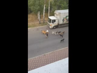 Видео от олеси мальцевой