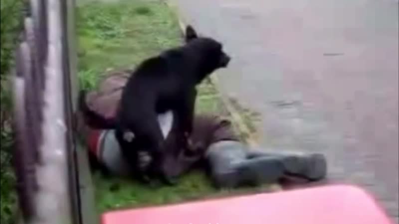 Вот так мы и теряем друзей
