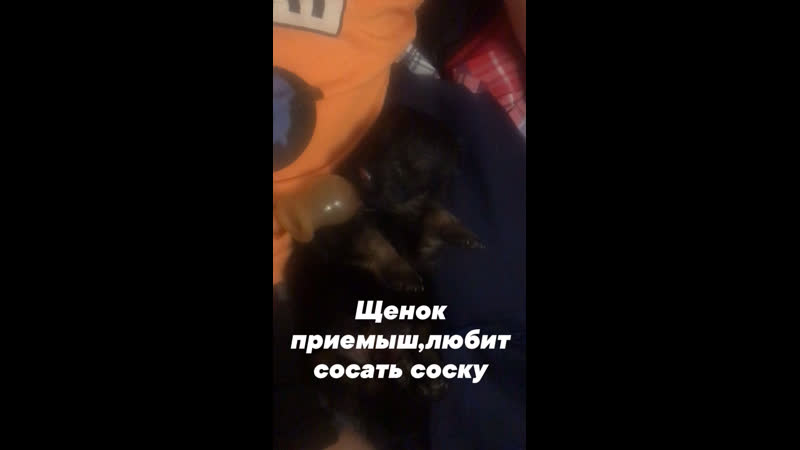 Сосем соску