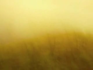 Imee ooi green tara mantra