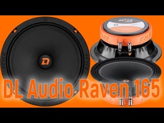 Dl audio raven 165, громко, чисто, недорого, прослушка и сравнение с конкурентами