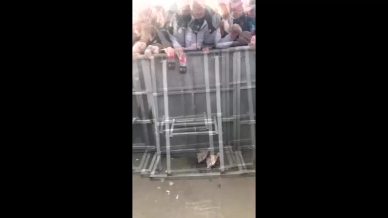 Полная версия массовая потасоа в лужниках с ментами драка омон с чего началось массовое побоище росгвардия бойня