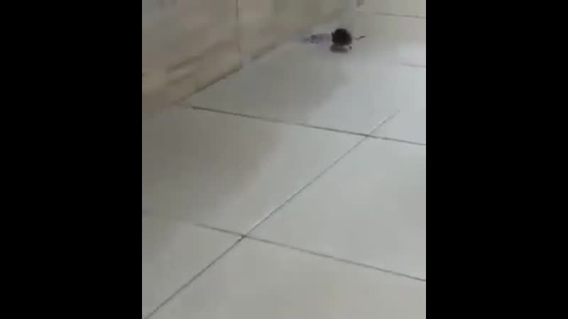 Врёшь, не возьмёшь