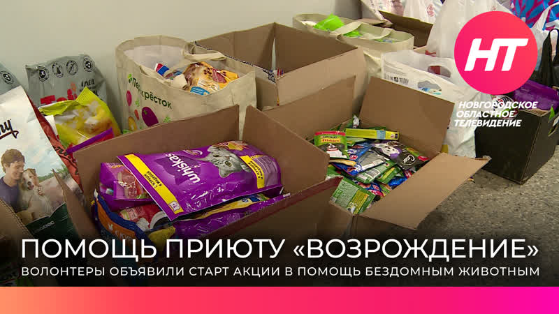 Депутат государственной думы артем кирьянов и новгородские школьники помогли приюту «возрождение»