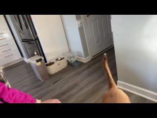 [margo sladkov] потерянные посылки за 7$~520₽