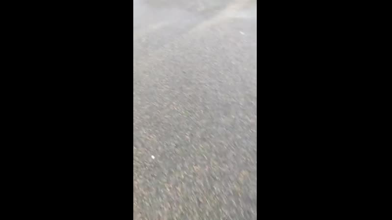 04 01 2020 péage st arnoult en yvelines dans le 78 solidarité de plusieurs départements