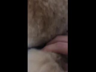 200314 zelo [official instagram story]