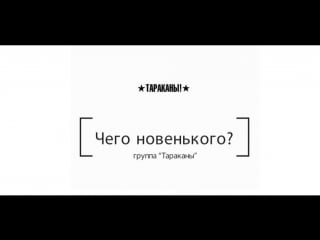 «что новенького?» с группой «тараканы!»