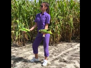 Для ленивых