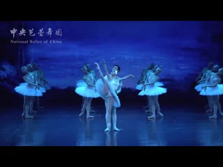 Отрывок из балета «лебединое озеро»