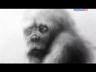 Искатели по следам сихиртя