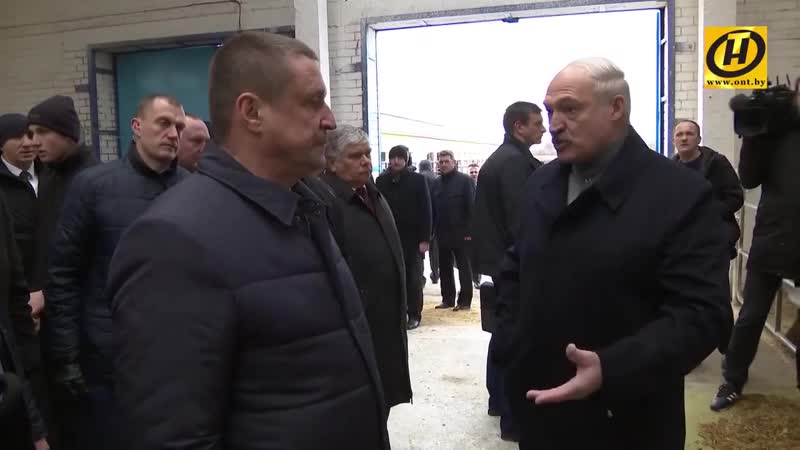 Батька разруливает