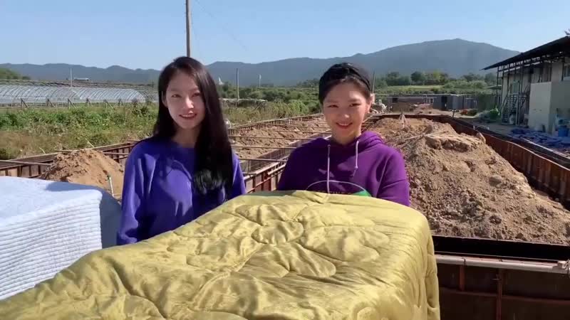 The porn shelter that jeongyeon and seungyeon recently volunteered at posted a video of them cleaning and playing with kittens