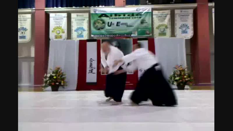 Ulf evenas aikido centras shihan ulf evenås 7 dan in mexico