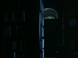Записки тинто брасса подглядывающий (1994)