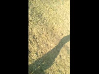 Vid 20201031 134650 mp4