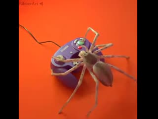 Any gamer who knows games like "life is strange" ? just finished and i carve for more