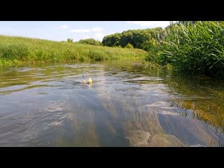 Видео от загорянка, моя загорянка