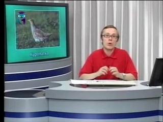 Экология передача 29 изменения в биоценозах что такое флуктуация