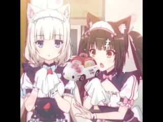 Chocola, vanilla | nekopara