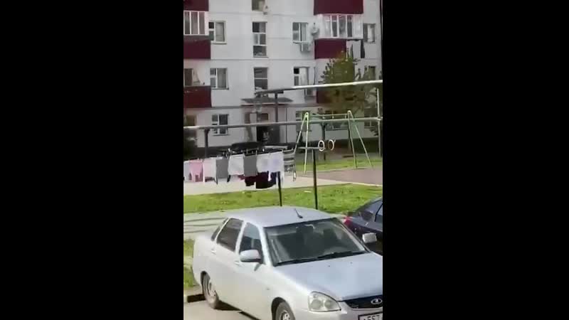 Двор porn video – Ничего необычного, просто чеченские полицейские заезжают во двор😂