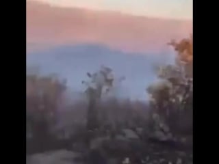 Operasyonda leş sonrası biz