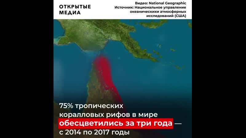 Потепление поставило под угрозу коралловые рифы
