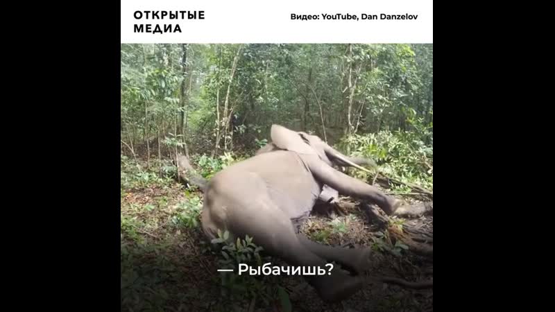 Герой мема «батя, тебе нормально?» снова стал героем