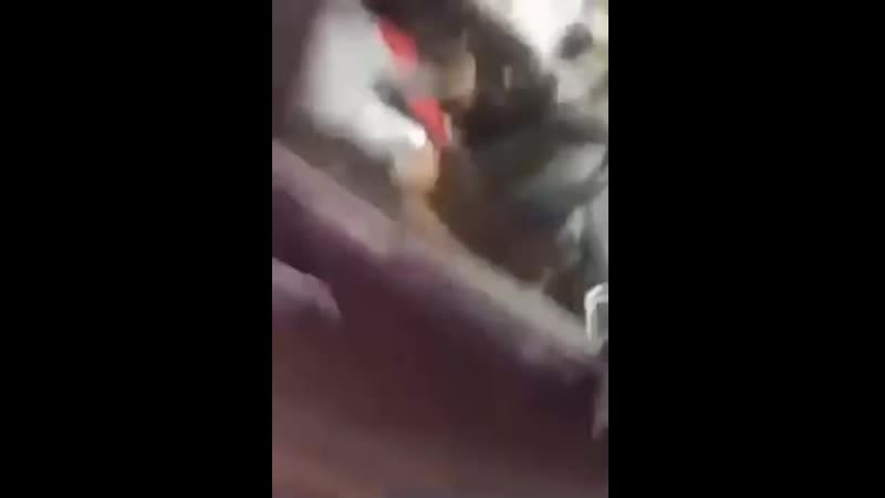 Не дал бабуле доиграть со своим