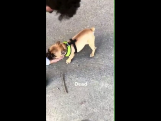 Calum on mitchy' snapchat