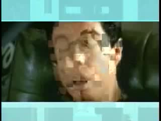 Zebrahead playmate of the year