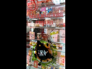 Mini india v belaruse izindii by