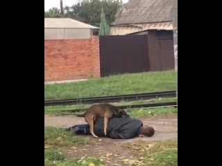 Кобель нашёл свою сучку