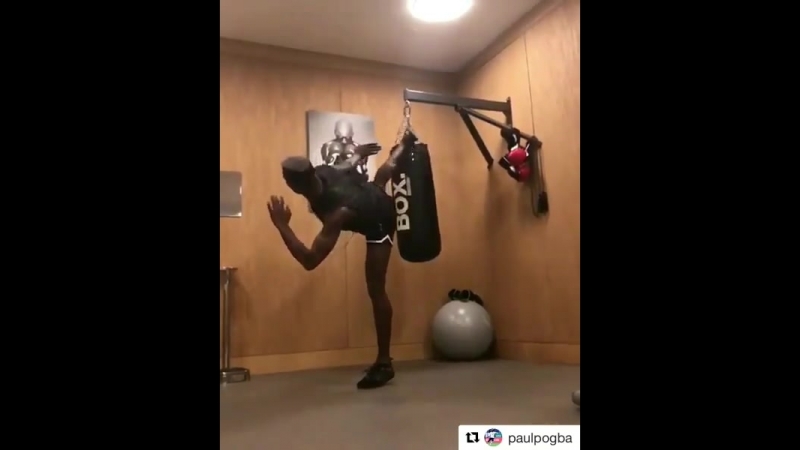 1xbet скилл погба