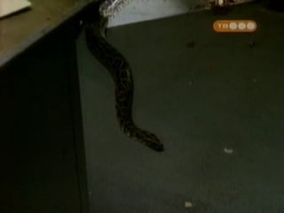 Goosebumps 3x22 teachers pet