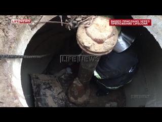 Спасение молодые из колодца городской округ жуковский московская область