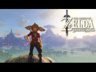 Крутое пике (the legend of zelda breath of the wild wiiu) #14