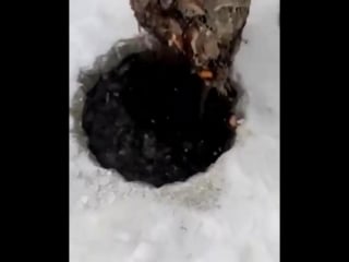 Хороший улов