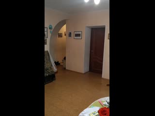 Vid 20191129 111514 mp4